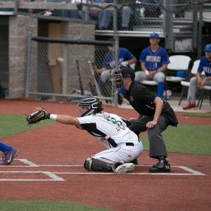 Meet your Posher, Albert